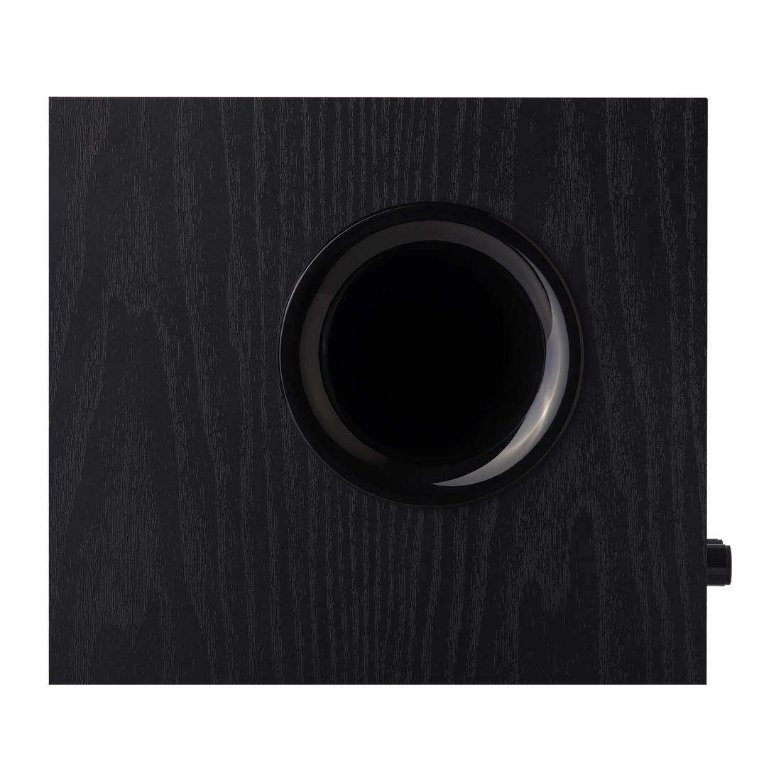 T5 Powered Subwoofer