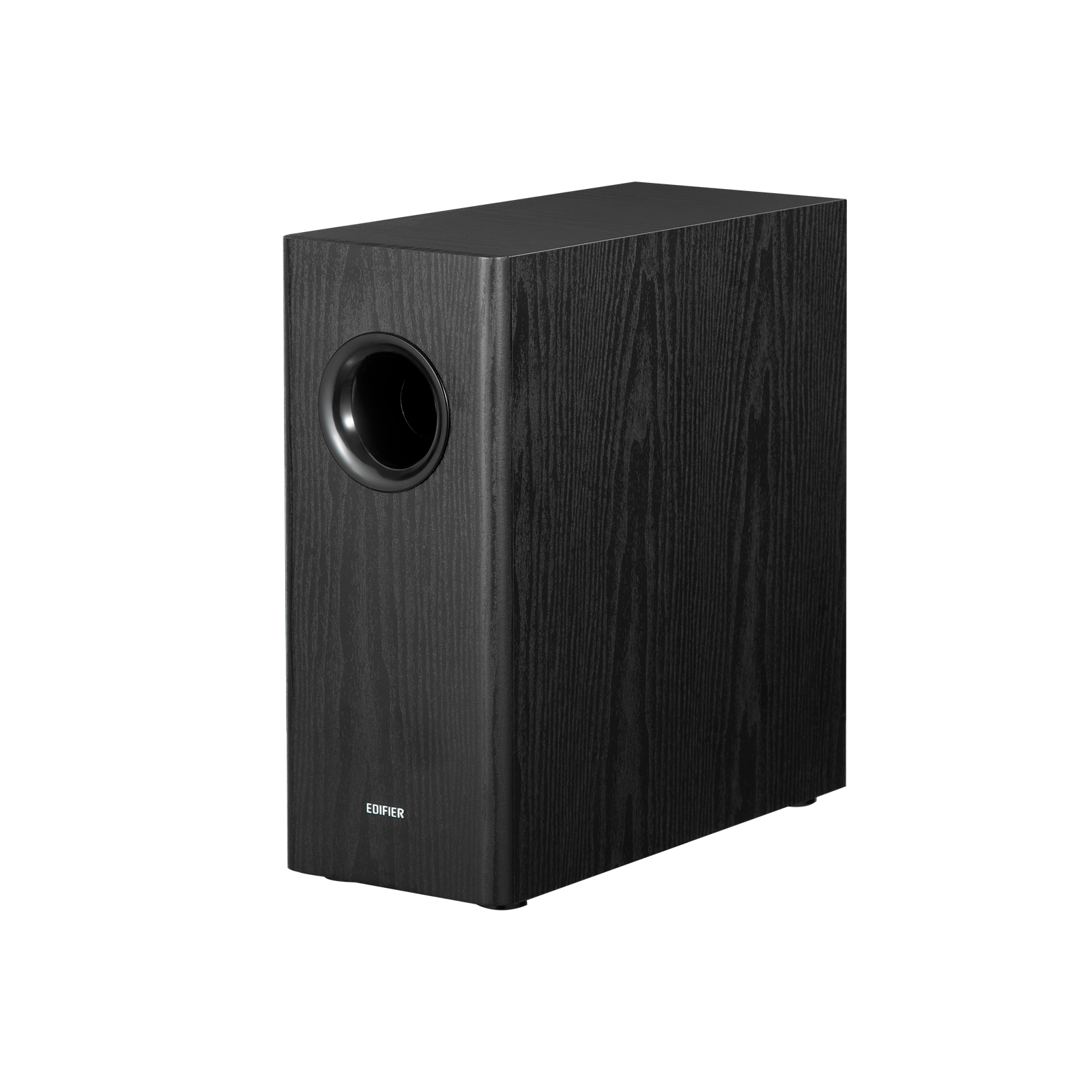 T5s  Powered Subwoofer