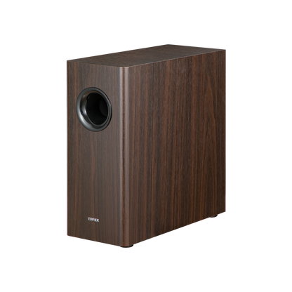 T5s  Powered Subwoofer