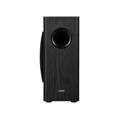 T5s  Powered Subwoofer