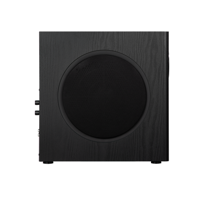 T5s  Powered Subwoofer