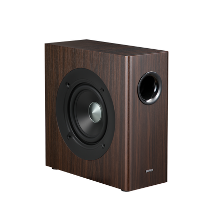 T5s  Powered Subwoofer