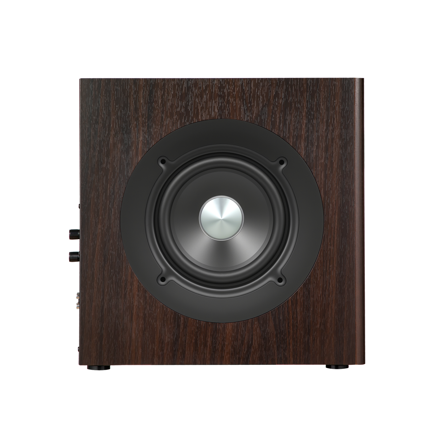 T5s  Powered Subwoofer