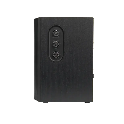 S355DB  2.1 Active Speaker